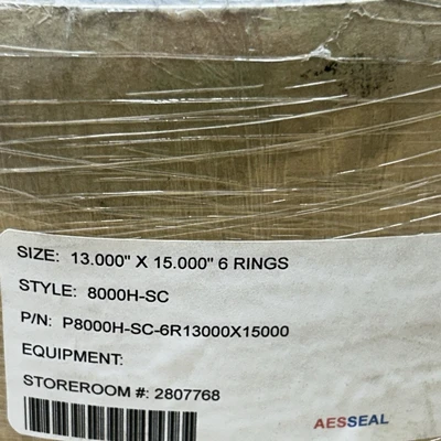 NEW Aesseal P8000H-SC-6R13000X15000