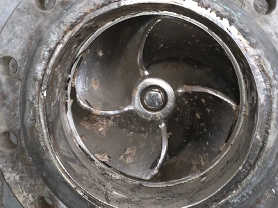 USED Goulds 3175