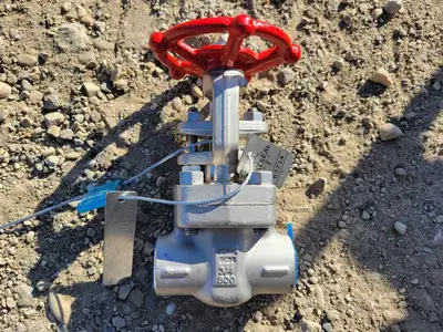 3/4" Class 800 Gate Valve B16.34