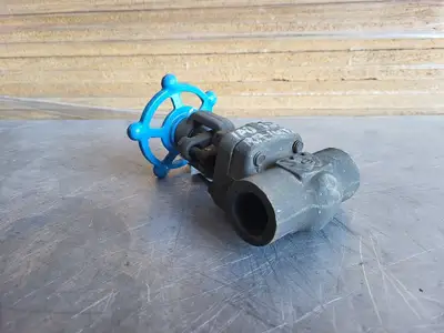 3/4" Class 800 Gate Valve B16.34