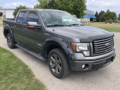 Used 2012 FORD F-150 Pickup Trucks Michigan US | Miedema Asset Management Group #1320367
