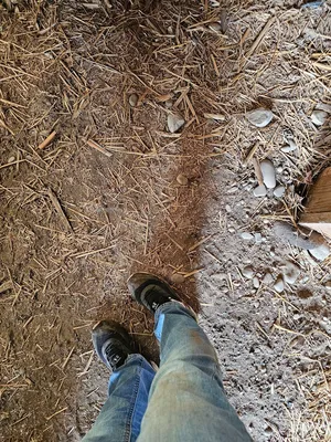 NEW HOLLAND 1465 Harvesting Equipment | Iron Listing (25)