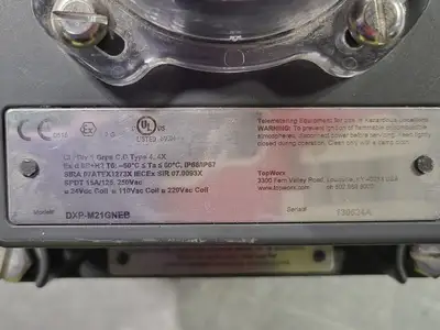 NEW TOPWORX DXP-M21GNEB