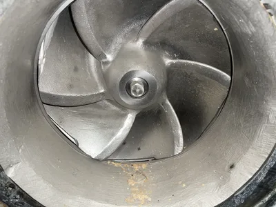 USED Goulds 3175