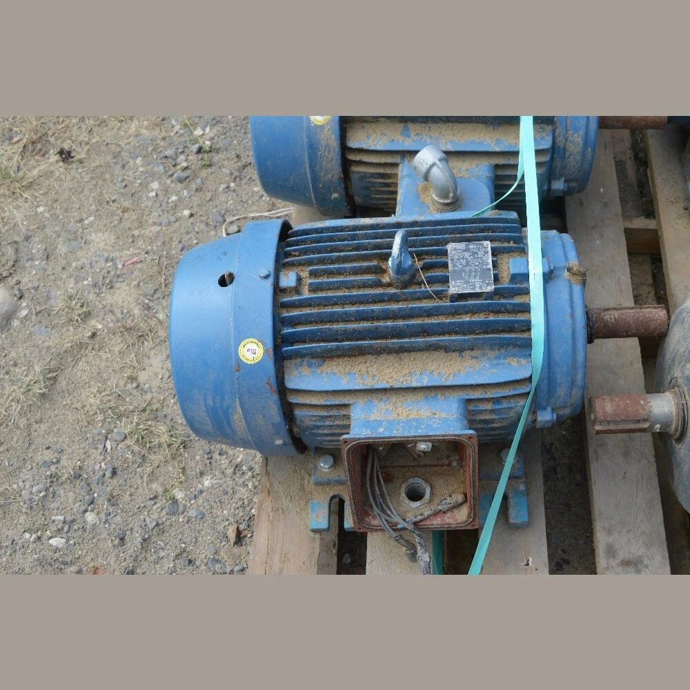 WEG 20 HP Electric Motor