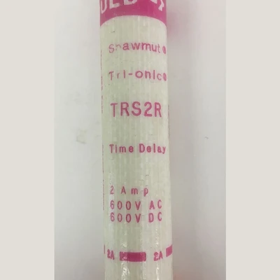 Gould Class RK5 2 Amp Fuse