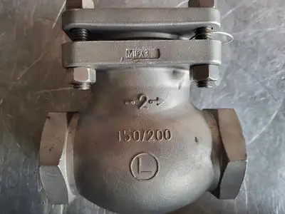 2" Class 150 Stainless Steel Swing Check Valve B16.34