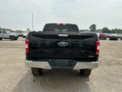 Used 2019 FORD F150 Pickup Trucks Michigan US | Miedema Asset Management Group #1316080
