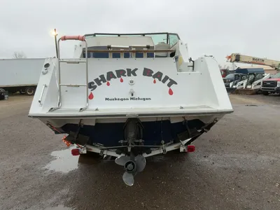 USED 1987 RINKER FIESTA VEE 250
