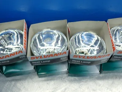 NEW SYLVANIA 250BR40/RP