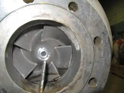 Ahlstrom APT 31-4C Pump