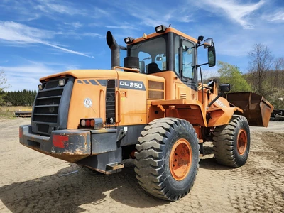 Used 2009 DOOSAN DL250 Wheel Loaders | Abele Tractor #1342919