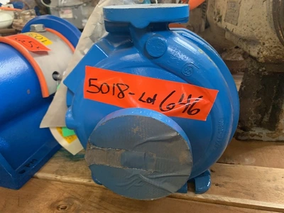 USED Goulds 3196 STi