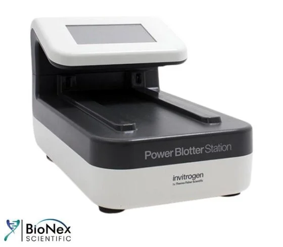 Used INVITROGEN POWER BLOTTER STATION Electrophoresis New Jersey US | Bionex Scientific LLC #800404