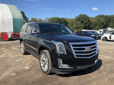 Used 2017 CADILLAC ESCALADE SUVs Michigan US | Miedema Asset Management Group #1461304
