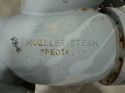 10" Class 300 Globe Valve B16.34