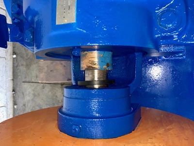 USED Goulds 100