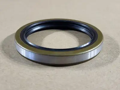 Oil Seal IFI22936