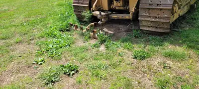 Used 1949 CATERPILLAR D8 Crawler Dozers Tennessee US | Ran Equipment #1406415