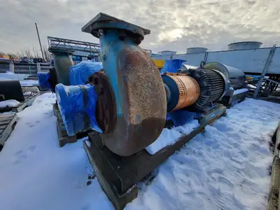 USED GOULDS 3196
