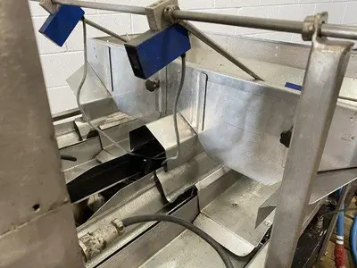 Dual-Head Proportioning Scale