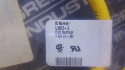 Turck CKM RSM 30-2M 2 Meter 18AWG 3 Wire Cordset New