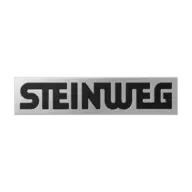 STEINWEG