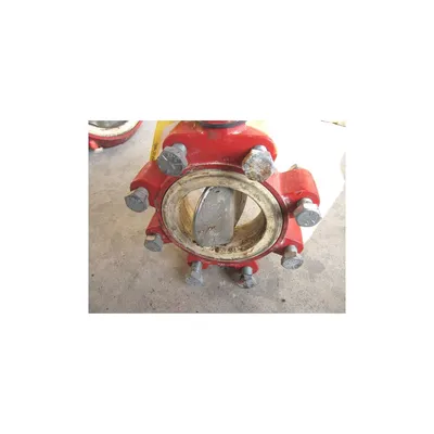 4" Bray Butterfly Valve - Lugged