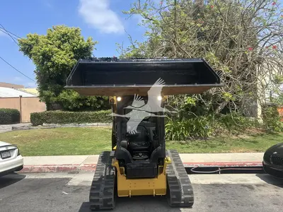 Used 2019 CATERPILLAR 239D3 Skid Steer Loaders California US | Lillo Machinery #1403786