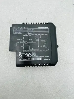 EMERSON DELTAV KJ3001X1-BB1 DI 8 CH 24VDC DRY CONTACT #K-2599