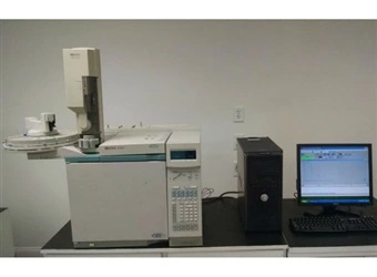 Used HP HP 6890 GC WITH (2) FID, 7683 AUTOSAMPLER, COMPUTER AND SOFTWARE GC Systems New York US | Michael Benalt Inc #1274257