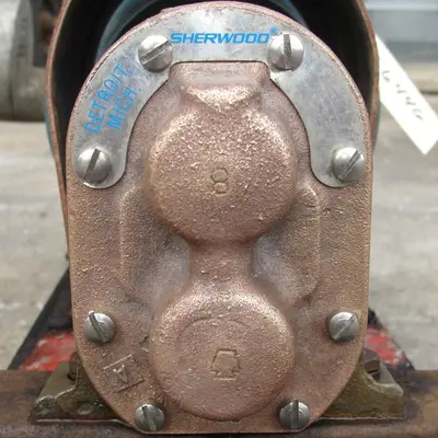SPC6446  Pump 3/4" inlet Sherwood positive displacement pump .5 hp, Bronze