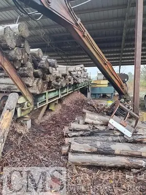 USED JACKSON SHAVING MILL, KNIFE GRINDER, LOG DECK AND CONVEYOR