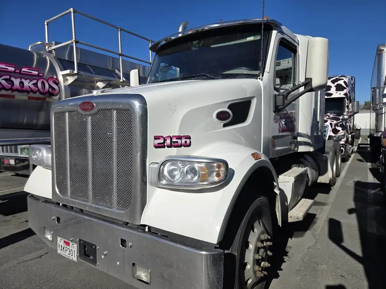 Used 2022 PETERBILT 567 Tractors & Trailers California US | Ben Kaplan Equipment #1181269