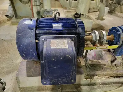 USED GOULDS 3175S