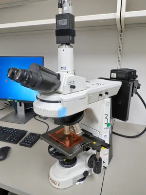 USED NIKON ECLIPSE 50I