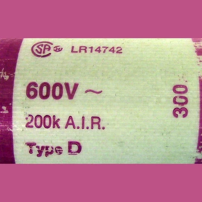 Gould 300 Amp Type D Fuse