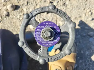 NEW BONNEY FORGE WL 1L3SNACE-LE
