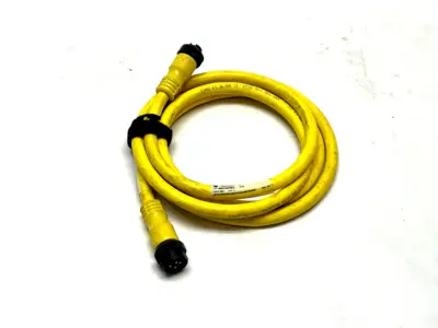 889N-F4AFNM-2 | Allen Bradley  Ser. B Cordset 2m Length - Used