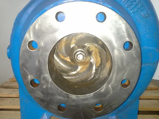 USED Goulds 3175
