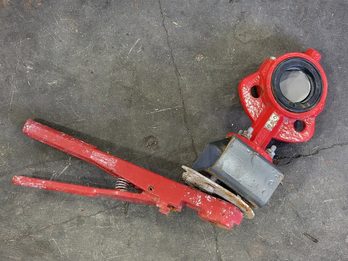 1.75" Butterfly Valve