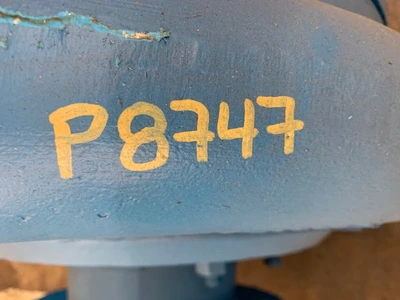 USED Goulds 3175
