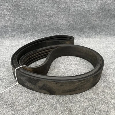 New | in-Stock Jason RB-148 Belts California US | Davliegogo LLC #1705405