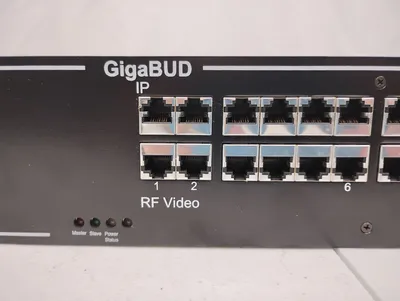 USED Z-Band Z Video GigaBUD 1000