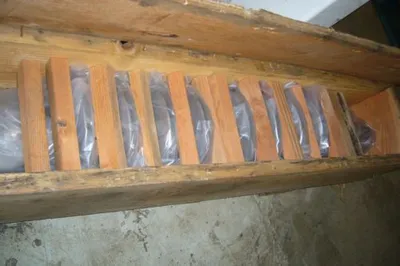USED Bingham MSD