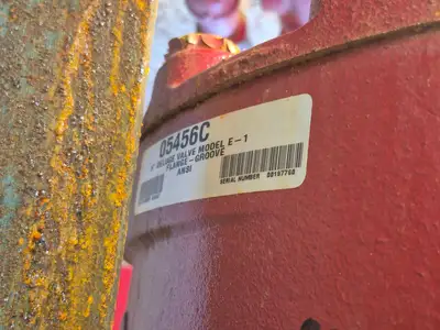 Containerized Foam Fire Suppression System w/ Deluge Valve, Potter Controls & Piping Manifold