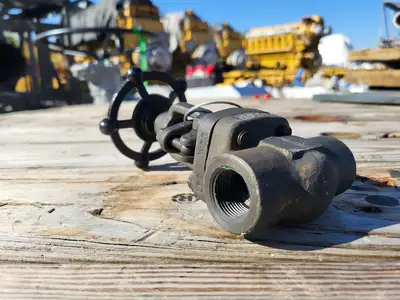 2019 3/4" Class 800 Globe Valve API 602