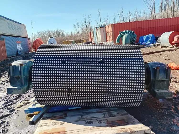 Used LUFF INDUSTRIES 42-PL320-63FFDB Conveyors British Columbia CA | Lenmark #238644