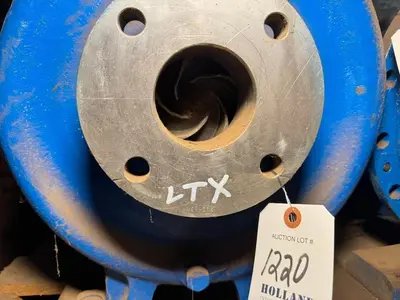USED GOULD 3196