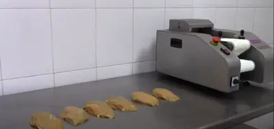 Gaser BS-300 Chicken Breast Slicer